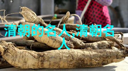 李光地(16421718)