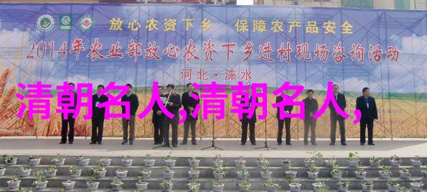 贾探春()
